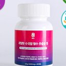 더 리얼핏 이미지