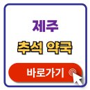 지혜약국 | 제주 추석 문여는 약국 검색 휴일지킴이 약국 찾기 한번에