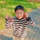 쑴스레더 가죽학원 네이버블로그