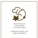 메이플 동물의료센터 이미지