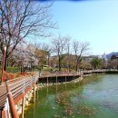 두류공원 이미지