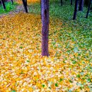 삼주세탁소 이미지