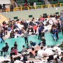 진도실내체육관 이미지
