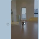 위드멍 애견유치원 이미지