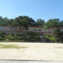 원삼두창분교 Daum카페