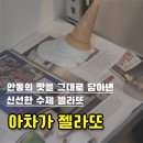 와룡상회 | 추워도 꼭 먹어야 하는 웨이팅 필수 안동 수제 젤라또 아차가 메뉴/ 가격/ 후기