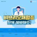26년 2분기 ＜비브리오패혈증＞ 이미지