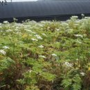 현기농장 이미지