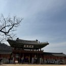 팔달문 안내소 | [여행 후기] 한 번으론 부족한 수원화성 -체험 활동 편