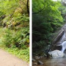 가족공원길 이미지