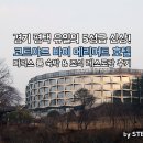 첨단기업5로1R-24 | 코트야드 바이 메리어트 평택 숙박&amp;타볼로24 조식 후기
