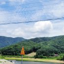 충청도민물매운탕 이미지