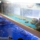 봉곡동237 이미지