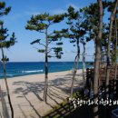 경포펜션민박 이미지