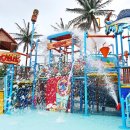 장사어촌체험휴양마을 이미지