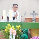 옹청박물관 이미지