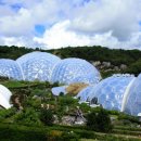 그린하우스 이미지