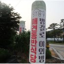 날마다 오리 이미지