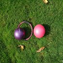 요가&소도구 필라테스 이미지