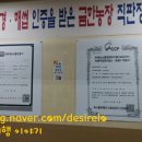 금한한우 정육식당 이미지