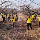 영동자원 이미지