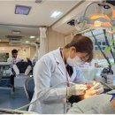 경북대학교치과병원 이미지