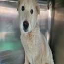 유주막로 이미지