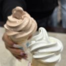 뉴대장금 | 무계획 시드니 여행 (2)