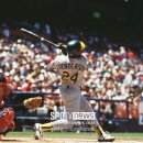 왕HOF