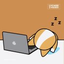 리치라이프
