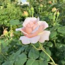 행정사김기원사무소 이미지