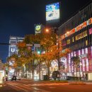 11215-자양1-064 | 삿포로 돈키호테 쇼핑리스트 일본 약 과자 술 추천템