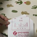 엄마손 동물병원 네이버블로그