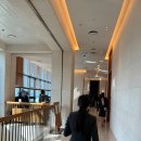 여기오신손님들반갑소 | 🕊️W6. 아펠가모 공덕 웨딩홀 투어(계약X)_26년 12월 견적 공유/솔직 후기👰🏻‍♀️🤵🏻