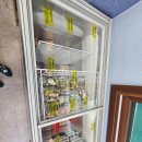 쿤 아시아마트 이미지