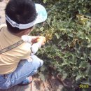 땅골농장 이미지