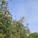 백두대간농장 이미지