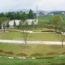 신광초등학교 이미지