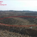 와룡리목장 이미지