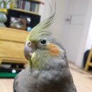 약수터주유소 이미지