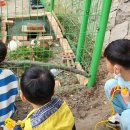 서산초등학교 이미지