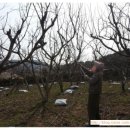 상학돌담길마을 이미지