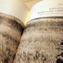 킹마라 이미지