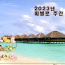 신비로-8 이미지