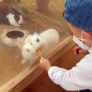 나눔염소농장 이미지