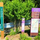 번재 경로당 | 외씨버선길 13길 관풍헌가는길 영월 대야산성-고씨동굴등산로-관풍헌 여행기록