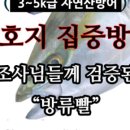히트실내바다낚시터