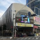 노란꽃돼지집 이미지