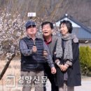 소풍(동행) 이미지