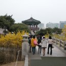 호수공원 제2주차장 이미지